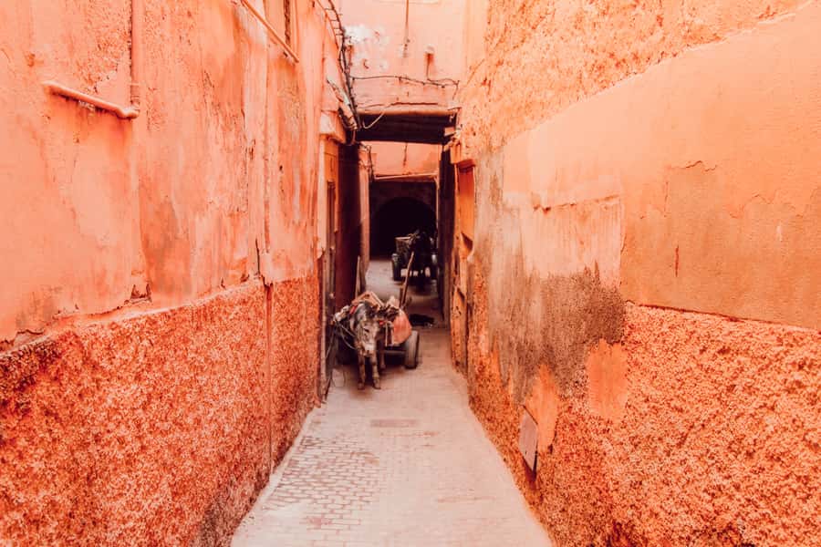 Marrakech: Customized Guided Walking Tour - Menara Gardens and a slower change of pace