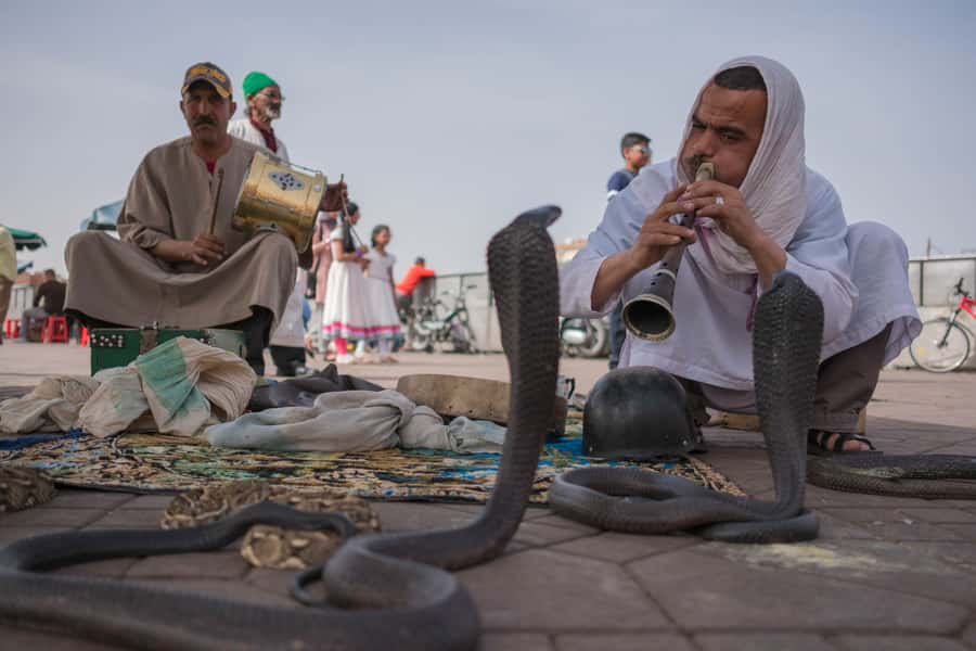 Marrakech: Customized Guided Walking Tour - Finding your way through the Medina