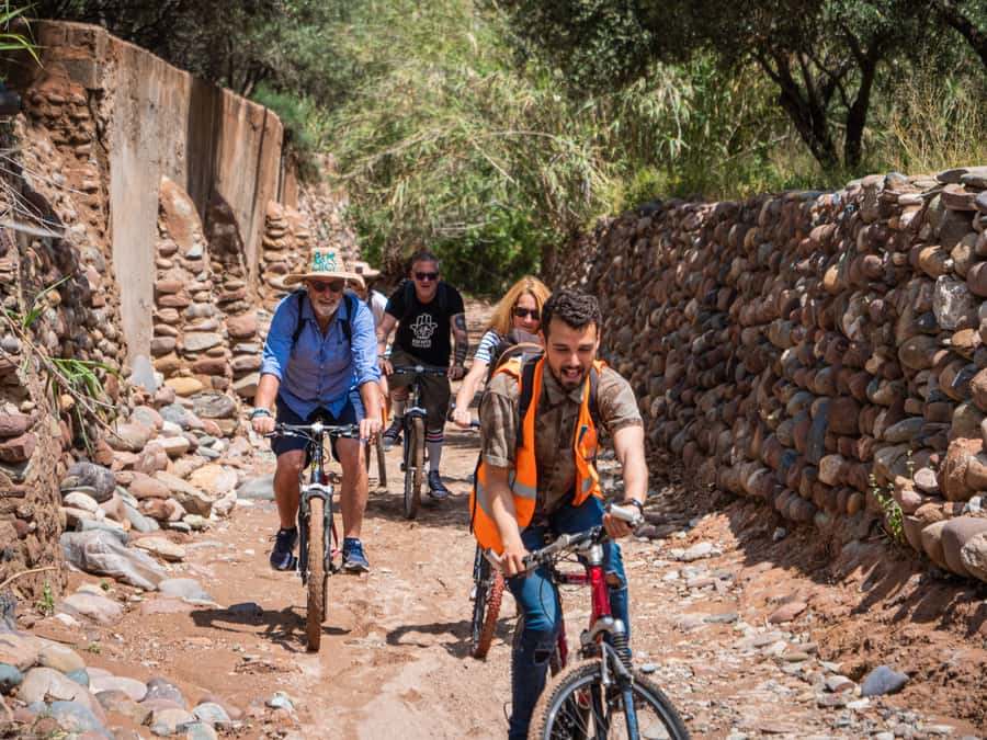 Marrakech: Cycling Tour in Palm Groove with Local Breakfast - What the $34 price delivers