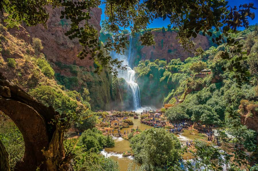 Marrakech: Day Tour to Ouzoud Waterfalls with Boat Trip - Who will enjoy this day trip most