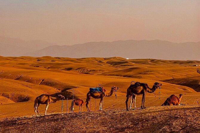 Marrakech Day Trip: Agafay Desert, Atlas Mountains and Camel Ride - Local markets and extra roadside stops