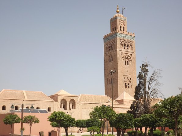 Marrakech day trip from Agadir & Taghazout - What the 4.4 rating means in practical terms