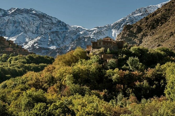 Marrakech: Day Trip to ourika valley & Atlas Mountains - Quick points before you book