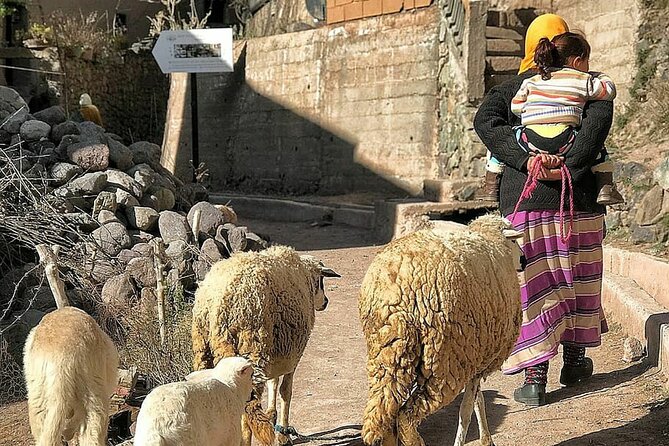 Marrakech: Day Trip to ourika valley & Atlas Mountains - Berber market days and mountain gardens