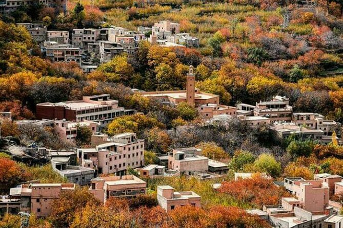 Marrakech: Day Trip to ourika valley & Atlas Mountains - Setti Fatma and the walk to the waterfalls