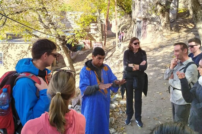Marrakech: Day Trip to ourika valley & Atlas Mountains - What the day includes, and what may cost extra