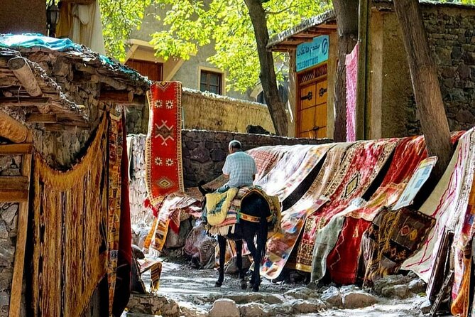 Marrakech: Day Trip to ourika valley & Atlas Mountains - Guide support in the Atlas foothills