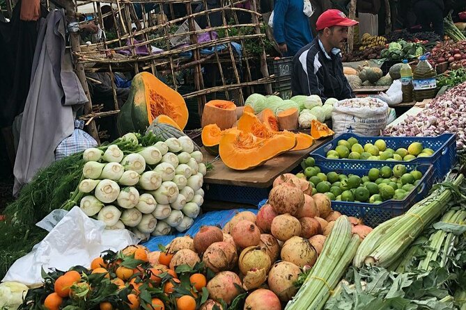 Marrakech: Day Trip to ourika valley & Atlas Mountains - Who will get the most from this outing