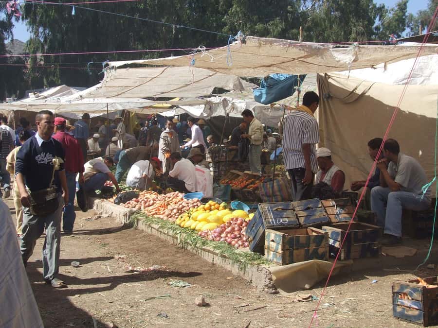 Marrakech Day Trip to Ourika valley & Waterfalls - Mint tea with a Berber family