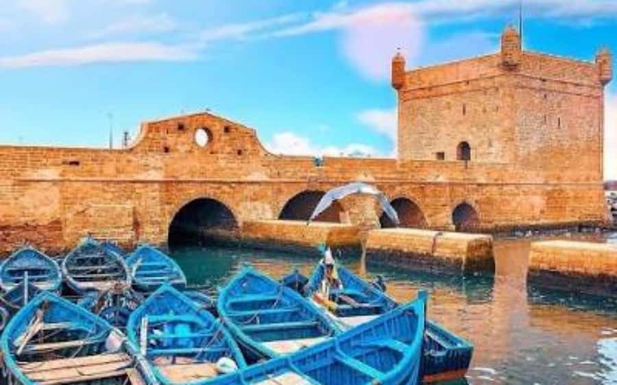 Marrakech: Day Trip to the Beautiful and Historic Essaouira - Who should book this Essaouira day trip?