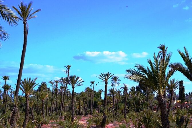 Marrakech Day Trip with Camel Ride from Casablanca - Koutoubia Mosque and Marrakech’s landmark skyline