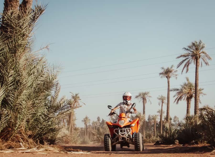 Marrakech: Desert and Palm Grove Quad Tour with Tea - Is $22 good value?