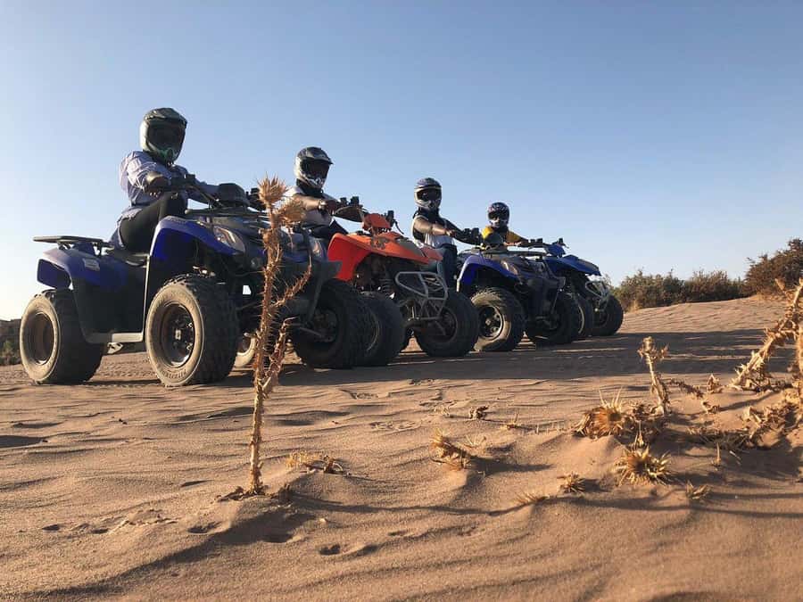 Marrakech: Desert and Palm Grove Sunset Quad Tour with Tea - Is $34 a good price for three hours?