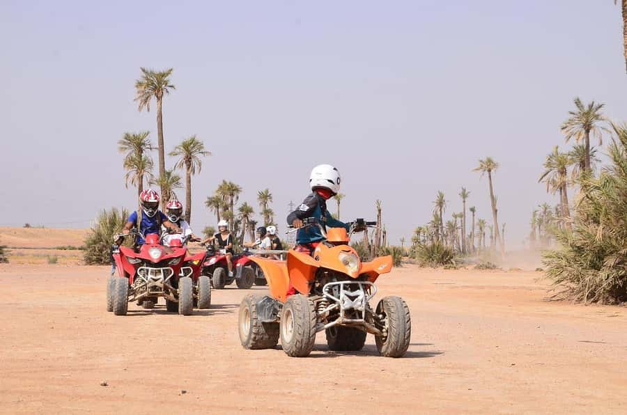 Marrakech: Desert and Palm Grove Sunset Quad Tour with Tea - Who should book, and who should skip it?