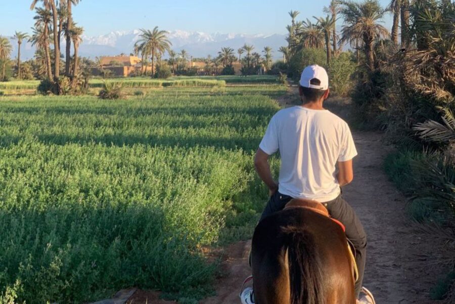 Marrakech: Desert and Palmeraie Horse Riding Tour & Transfer - One hour through palms, fields, and villages