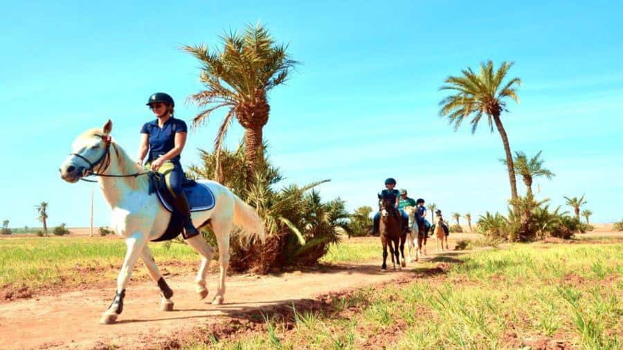 Marrakech: Desert and Palmeraie Horse Riding Tour & Transfer - Mint tea at the eco-lodge