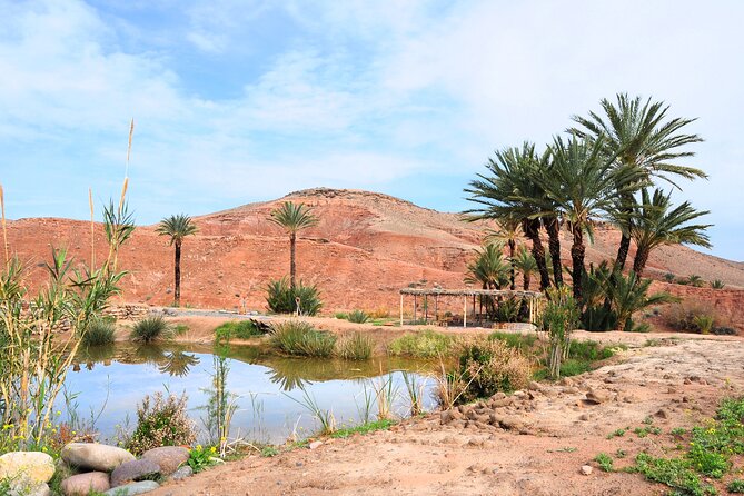 Marrakech Desert Buggy Tour Including Berber Tea Break and transfer - The Berber tea stop: simple hospitality, not a staged show