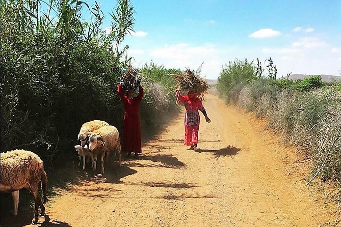 Marrakech Desert Buggy Tour Including Berber Tea Break and transfer - Safety, pace and the family rules