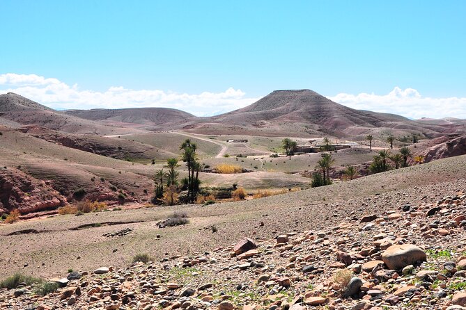 Marrakech Desert Buggy Tour Including Berber Tea Break and transfer - Is $86.32 a fair price?