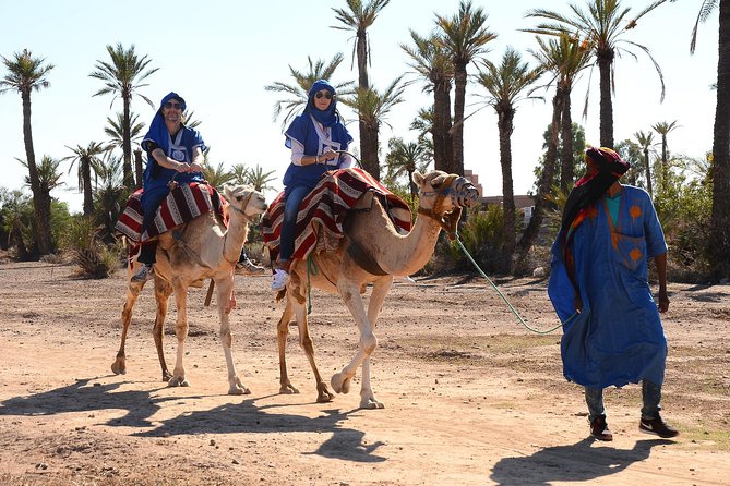 Marrakech Desert Camel Ride - Key points at a glance