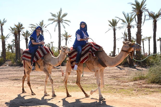 Marrakech Desert Camel Ride - What the Marrakech Palmeraie ride is really like