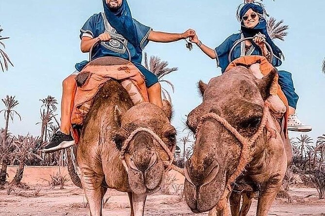 Marrakech Desert Camel Ride - Why the small group matters