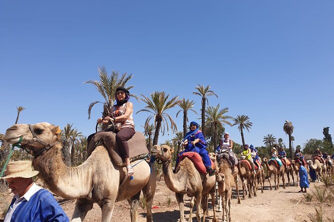 Marrakech Desert Camel Ride - Guides, drivers, and the practical side of the service
