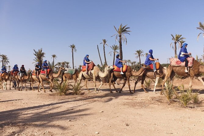 Marrakech Desert Camel Ride - Is $26.71 a fair price?