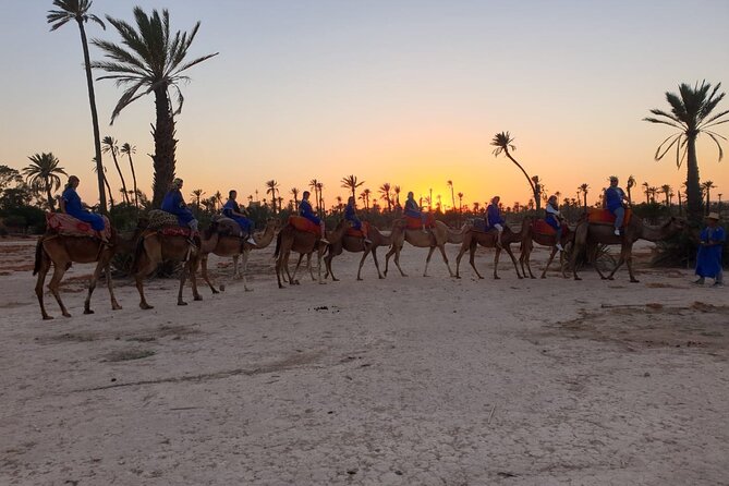 Marrakech Desert Camel Ride - Who should book this camel ride?