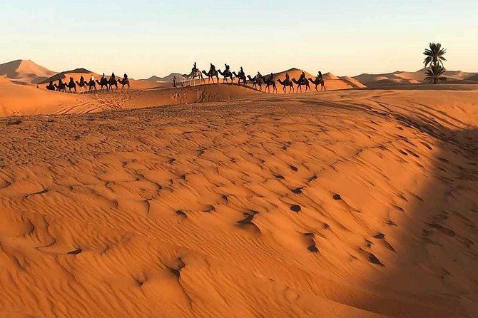 Marrakech Desert: Camel Ride, Quad Biking & Dinner Show Options - Moroccan tea and sunset at camp