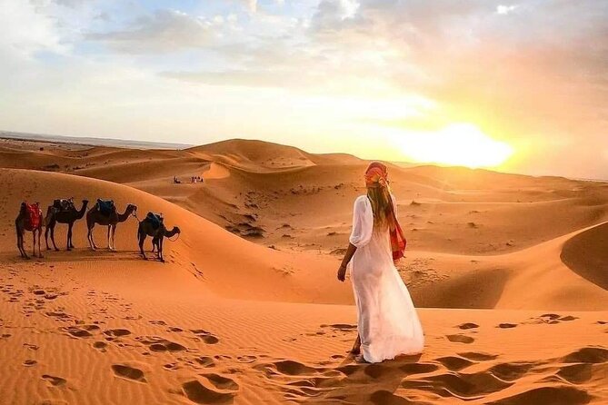 Marrakech Desert: Camel Ride, Quad Biking & Dinner Show Options - Dinner with tagine, couscous, and fire