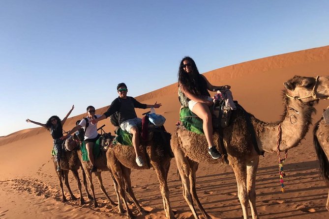 Marrakech Desert: Camel Ride, Quad Biking & Dinner Show Options - The people who shape the experience