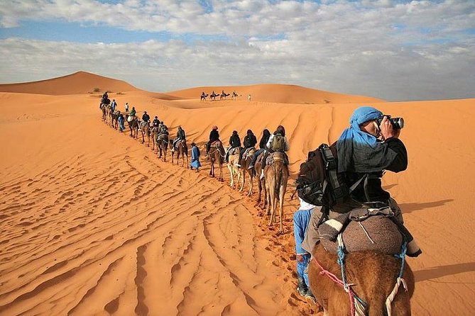 Marrakech Desert: Camel Ride, Quad Biking & Dinner Show Options - Quad biking for a faster burst of fun