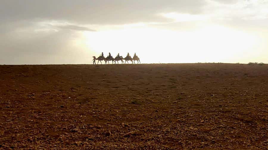 Marrakech: Desert Quad Bike Tour with Tea & Optional Dinner - Mint tea and a pause in the desert
