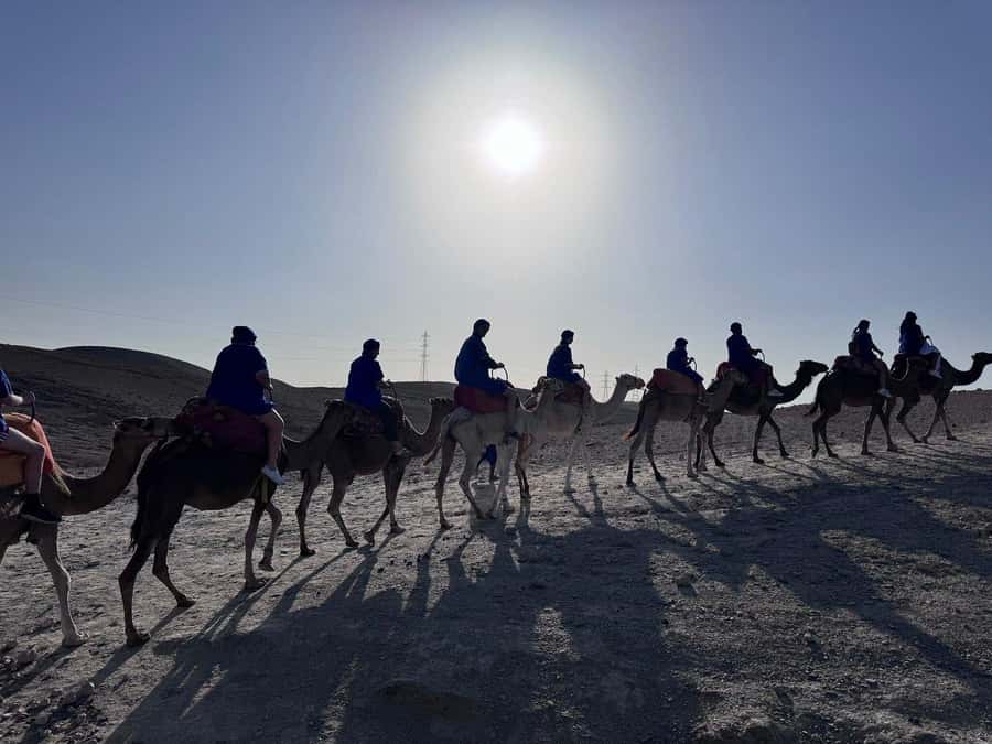 Marrakech: Desert Quad Bike Tour with Tea & Optional Dinner - Who should book this outing