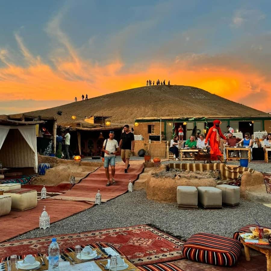 Marrakech: Desert Tour with Dinner, Show and Camel Ride - Key points to know before booking