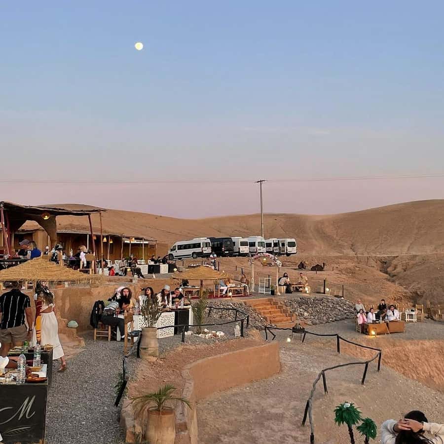 Marrakech: Desert Tour with Dinner, Show and Camel Ride - Guides who shape the experience