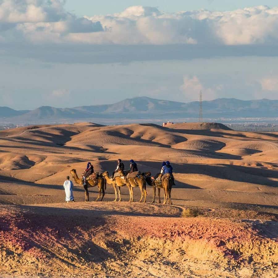 Marrakech: Desert Tour with Dinner, Show and Camel Ride - Camel time on an old Berber path