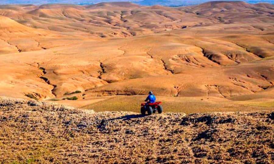 Marrakech: Dinner and Quad bike Desert Agafay Stars & show - A slower camel ride with a different rhythm