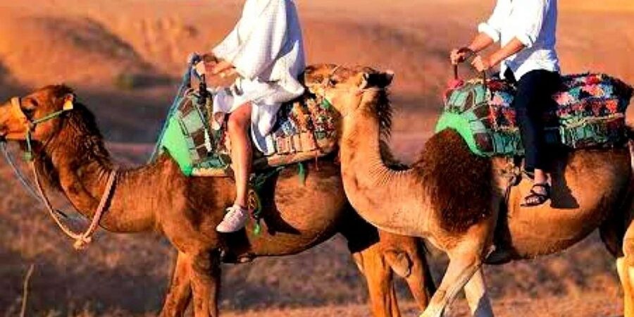 Marrakech: Dinner and Quad bike Desert Agafay Stars & show - Sunset dinner at the desert camp