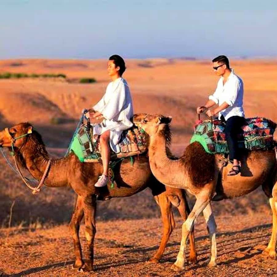 Marrakech: Dinner and Quad bike Desert Agafay Stars & show - Guides, languages, and family fit