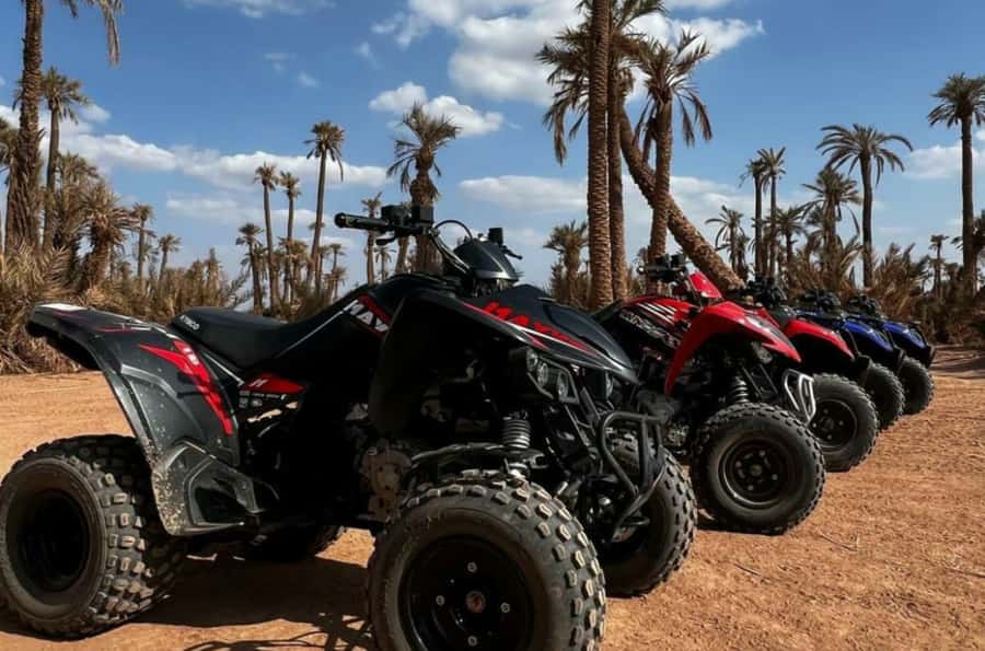 Marrakech: Dunes of the Palmeraie Quad Bike Ride with Tea - Practical clothing and pickup advice