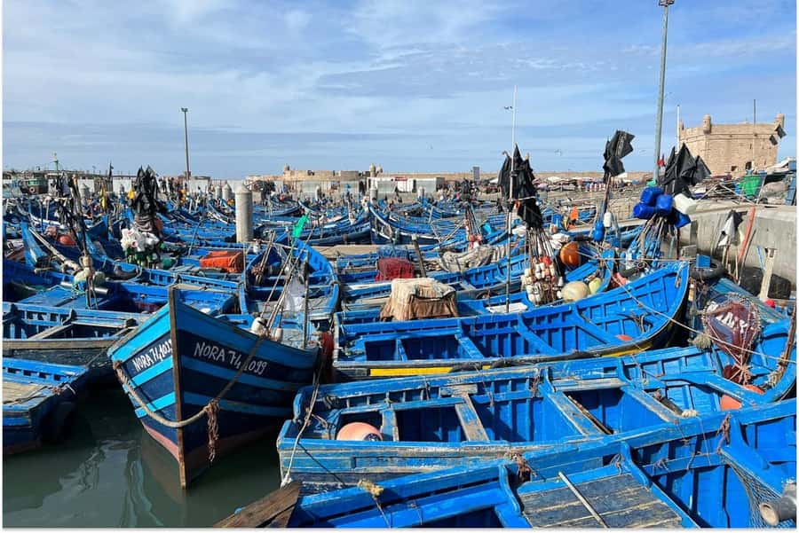 Marrakech: Essaouira Day Trip with Guided Tour - What happens at the argan oil cooperative