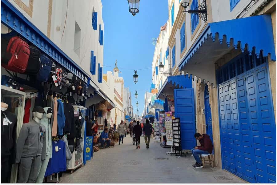 Marrakech: Essaouira Day Trip with Guided Tour - Essaouira’s port, blue boats, and fish market