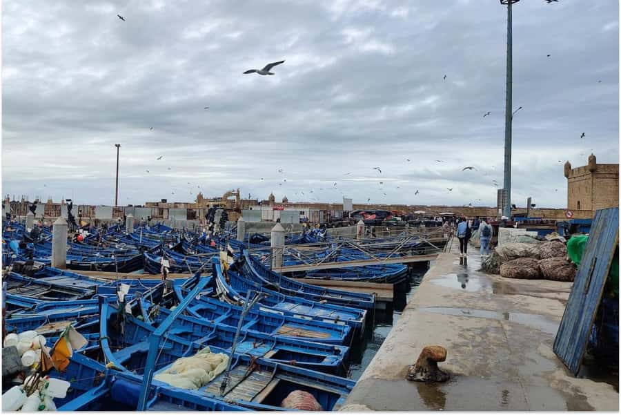 Marrakech: Essaouira Day Trip with Guided Tour - Walking Essaouira’s Medina and Mellah