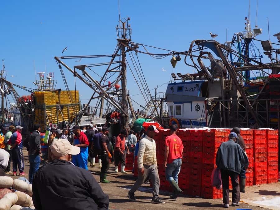 Marrakech: Essaouira Day Trip with Transfers and Co-op Visit - Key points to know before booking