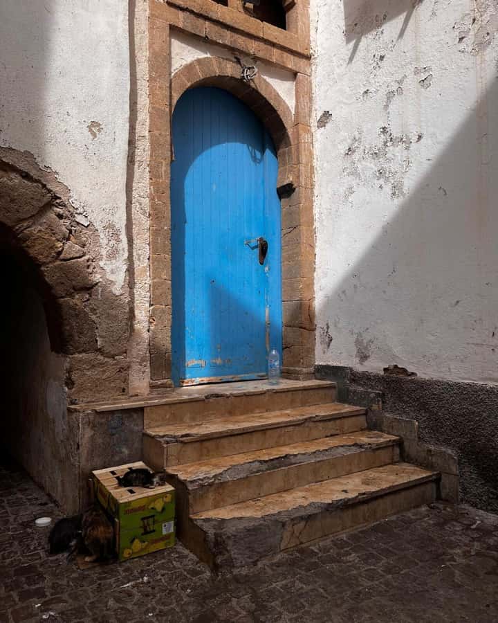 Marrakech: Essaouira Day Trip with Transfers and Co-op Visit - The return journey and late arrival