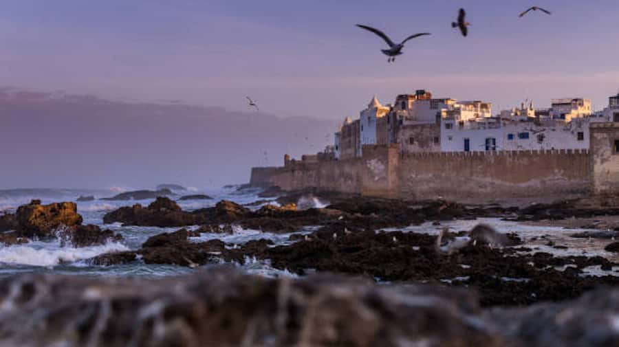 Marrakech: Essaouira Full-Day Trip - The argan oil association and what to expect there