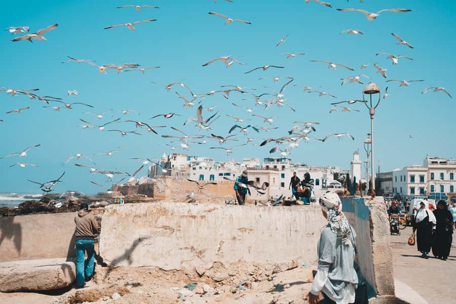 Marrakech: Essaouira Full-Day Trip - A guided tour, or mostly time on your own?