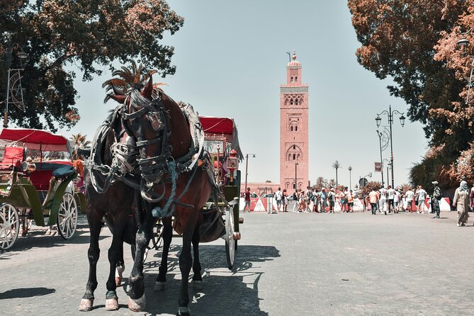 Marrakech Excursion Mini Group Camel Ride from Casablanca - Souk Semmarine and the practical art of browsing